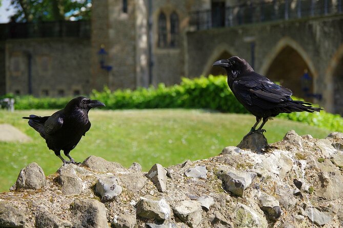 Tower of London Private Walking Tour - Why a private Tower visit can be worth it
