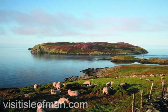 Viking Tour of the Isle of Man - Half Day - Private Tour - Cregneash and a working picture of old Manx life