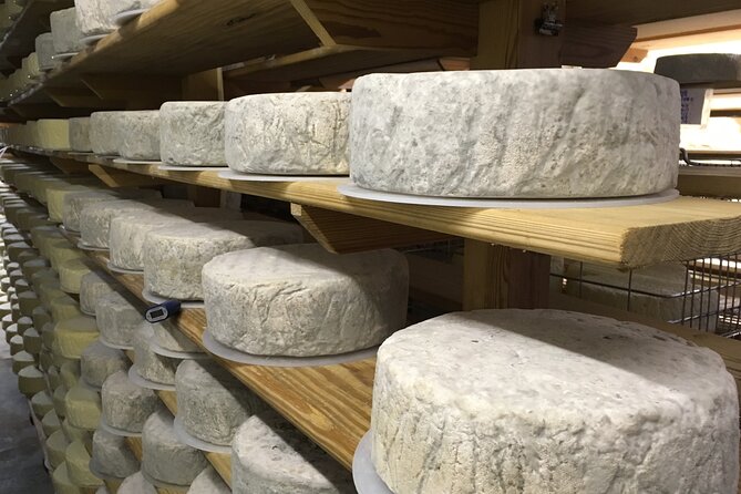 Vineyard & Cheesemaker Bus Tour of Sussex - Court Gardens Farm and four sparkling wines