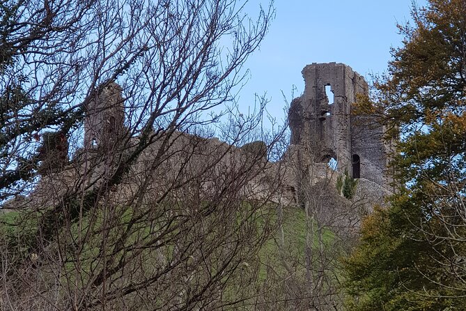 Visit Stonehenge and Salisbury from Southampton - What Bela Adds to the Day