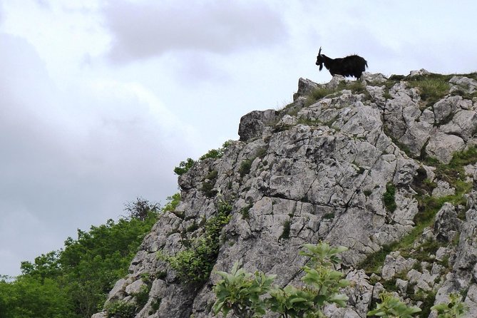 Wells, Cheddar Cheese and Cheddar Gorge - Private Day Trip from Bath - The optional climb at Cheddar Gorge