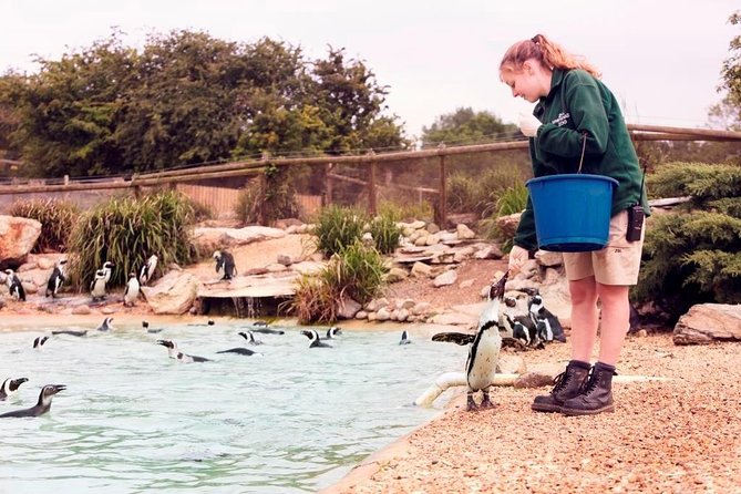 Whipsnade Zoo Entry Ticket - The Aquarium and Butterfly House
