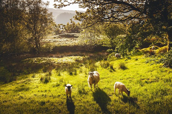 Windermere & Lake District Tour from Manchester Including Cruise - Bowness-on-Windermere: your first taste of the Lakes