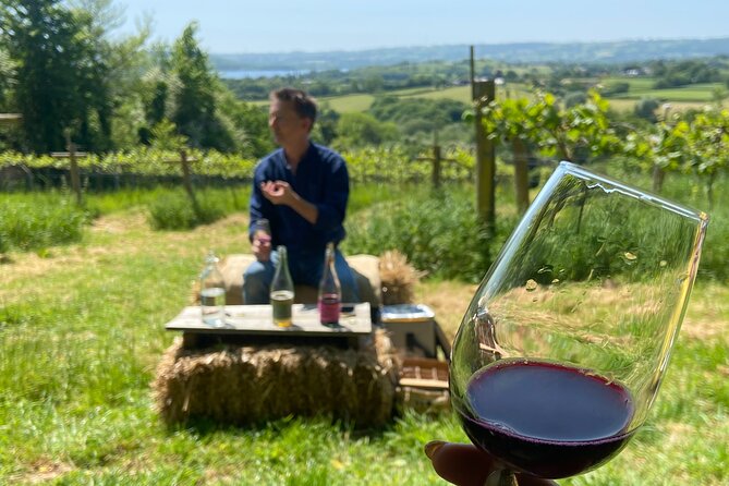 Wine & Cheese in the Somerset Valleys - with Michelin-star lunch! - Lunch at The Pony and a Garden Tour
