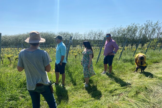 Wine & Cheese in the Somerset Valleys - with Michelin-star lunch! - Who Should Book This Day?