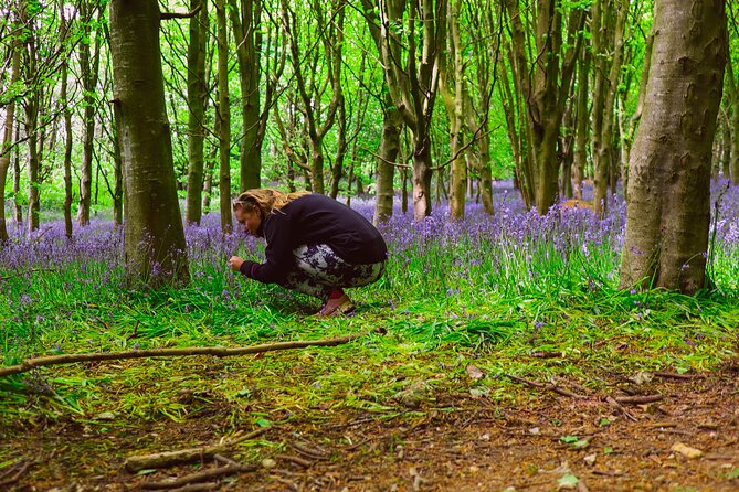Yoga & Forest Bathing Day Retreat - Qi-Gong among the trees