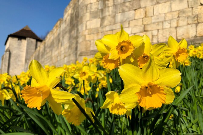 York 3-Hour Photography Walking Tour - Fossgate and the medieval street view