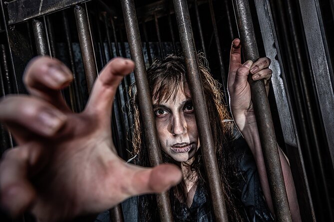 York Dungeon Entry Ticket - What happens inside York Dungeon