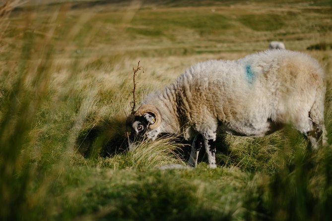 Yorkshire Dales from Windermere - Aysgarth Falls and a famous film setting