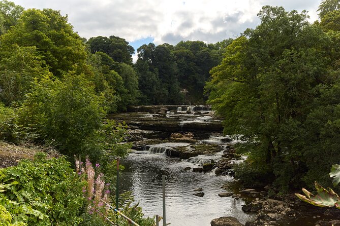 Yorkshire Dales Tour from York - What the guides add to the day