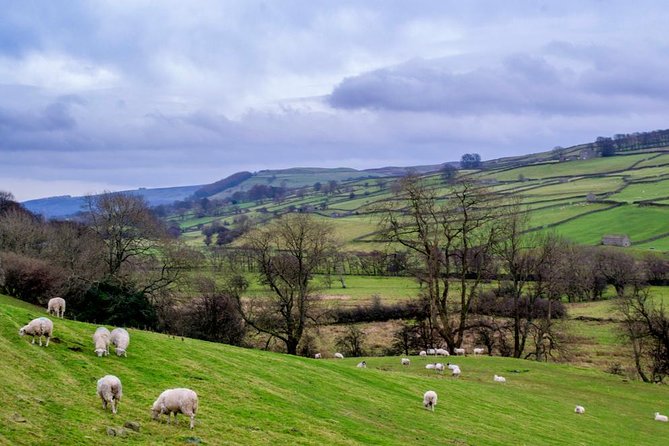 Yorkshire Dales Tour from York - Lunch, toilets, walking, and weather