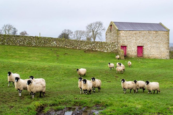 Yorkshire Dales Tour from York - Starting at Leeman Road and settling into the minicoach